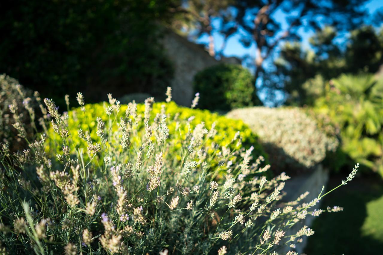 Domaine De Saint Clair Bed & Breakfast Aix-en-Provence Dış mekan fotoğraf
