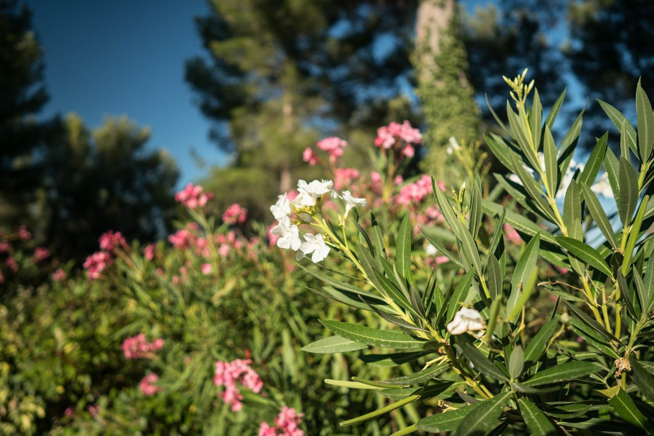 Domaine De Saint Clair Bed & Breakfast Aix-en-Provence Dış mekan fotoğraf